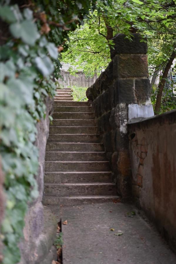Quiet Haven In The Middle Of The City 부다페스트 외부 사진
